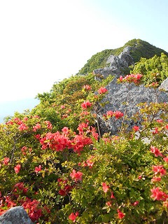 DSCN0962.jpg