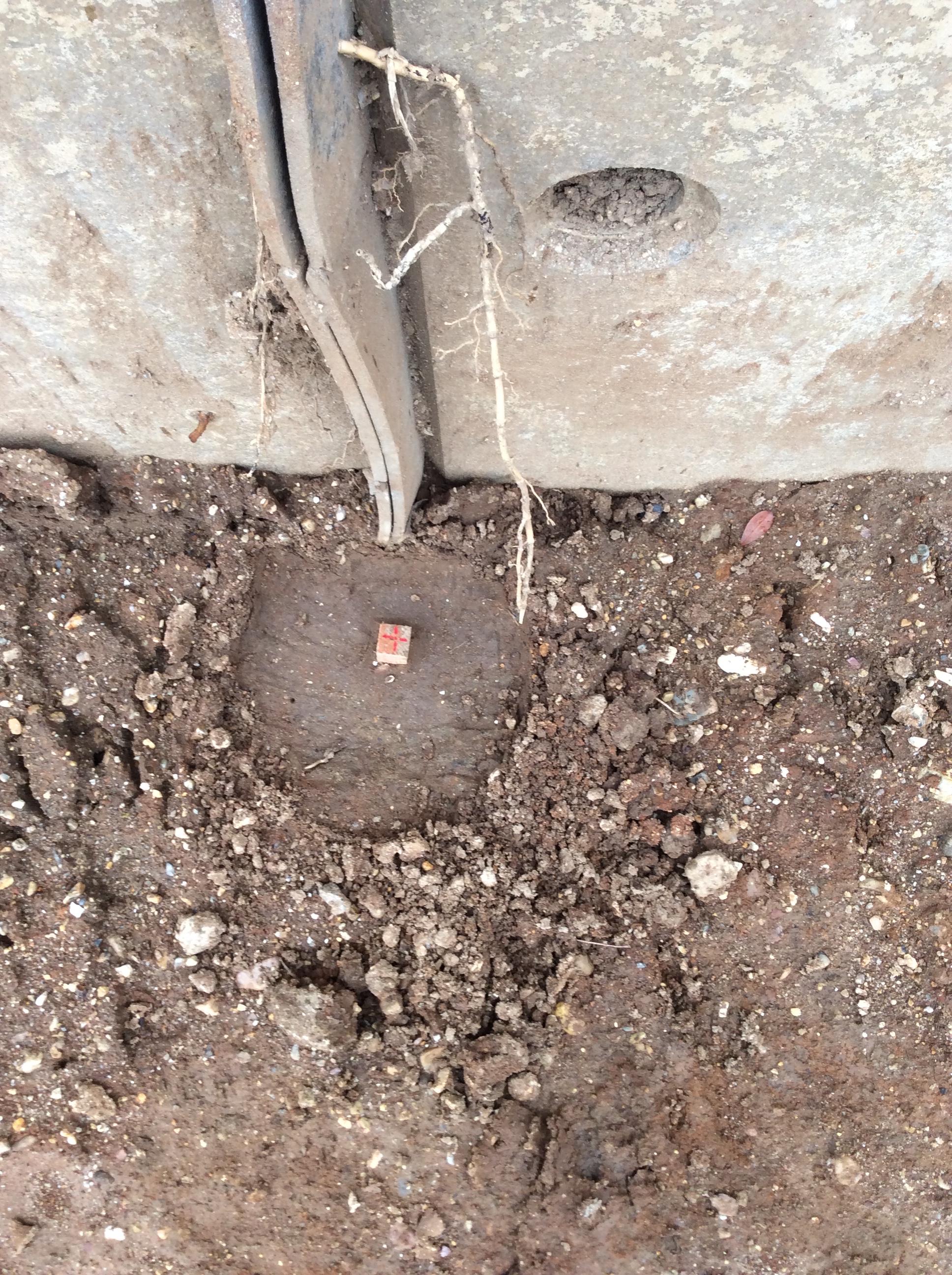 2015-07-04 10.56.41.jpg