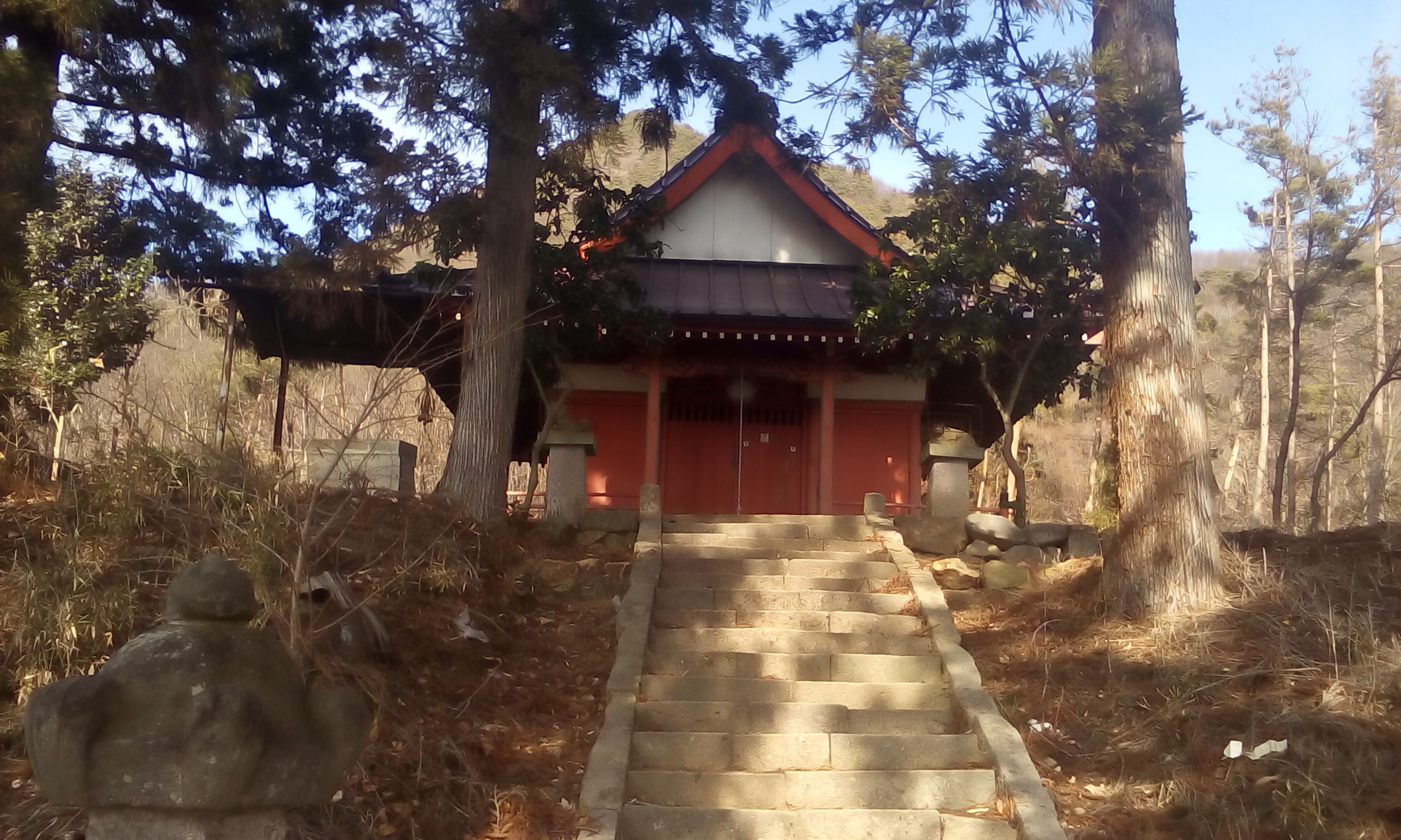 IMG_20160108_121710.jpg