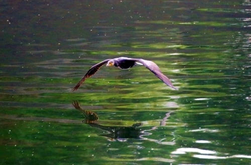 P95A1860 (640x420).jpg