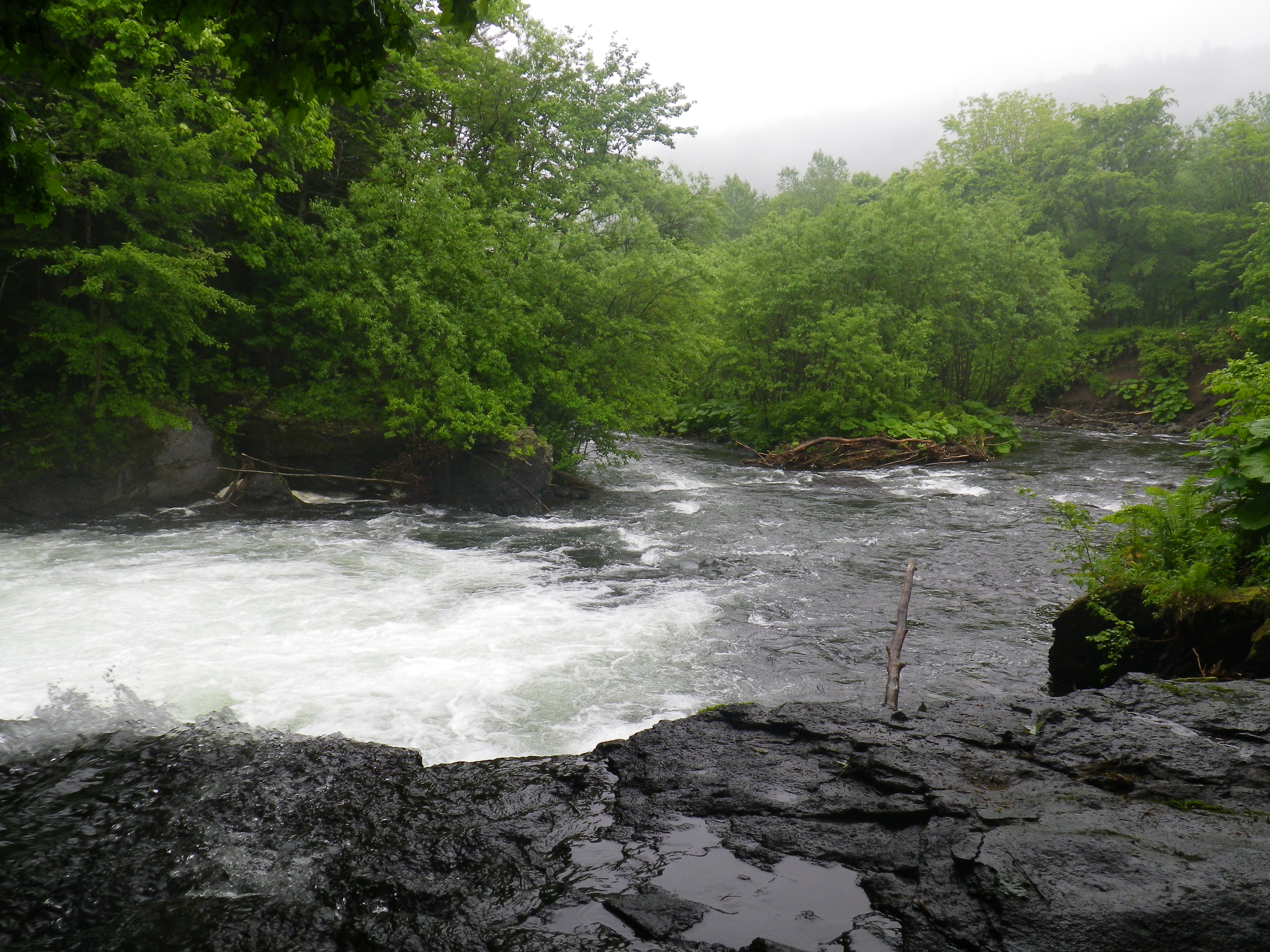IMGP0379.JPG