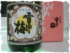 1311雪中梅.jpg