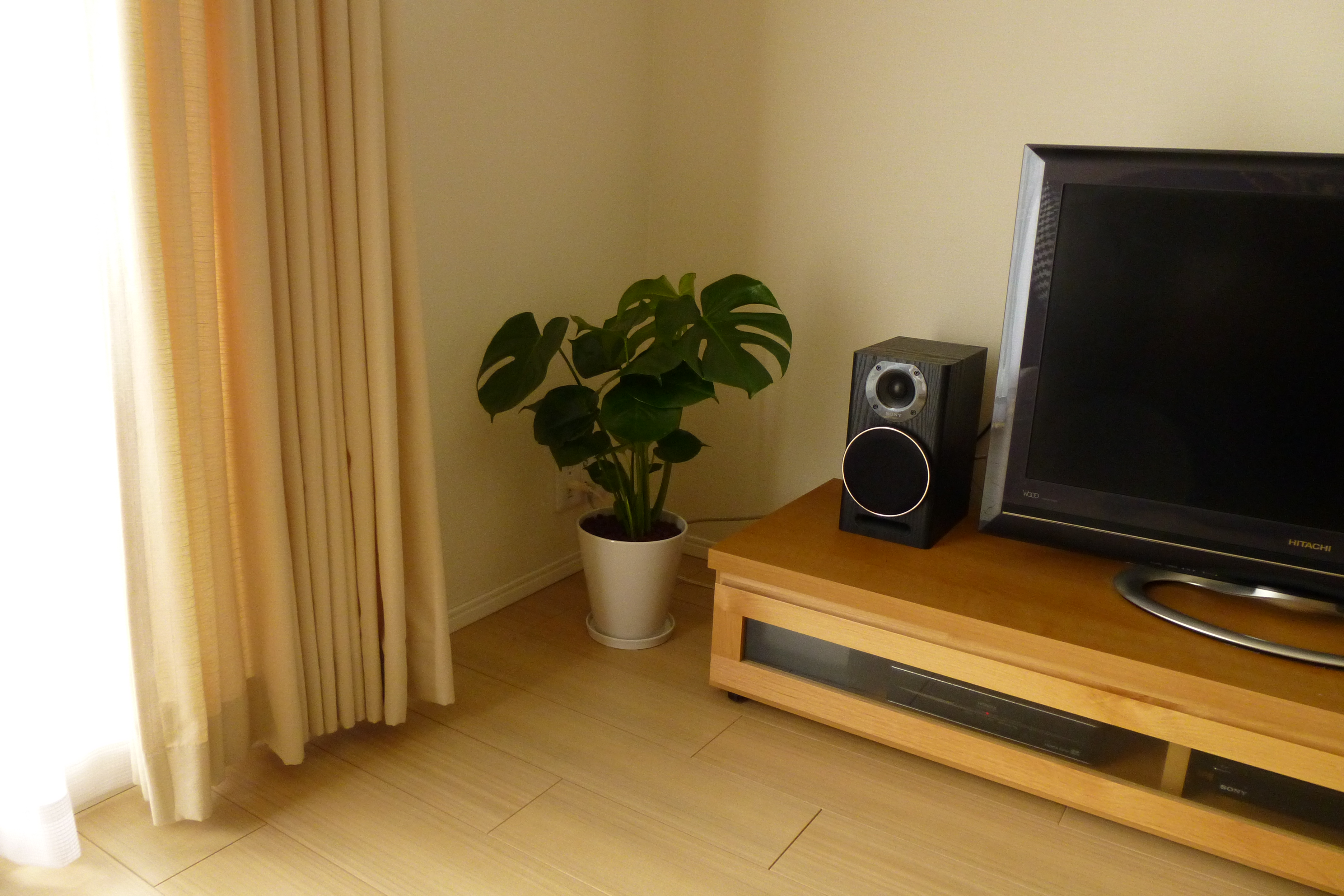 P1250171.JPG