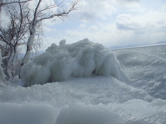DSCF4604.jpg