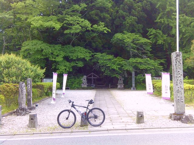 250529shikarawasoba05.jpg