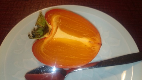 2015-11-13 17.30.49.jpg