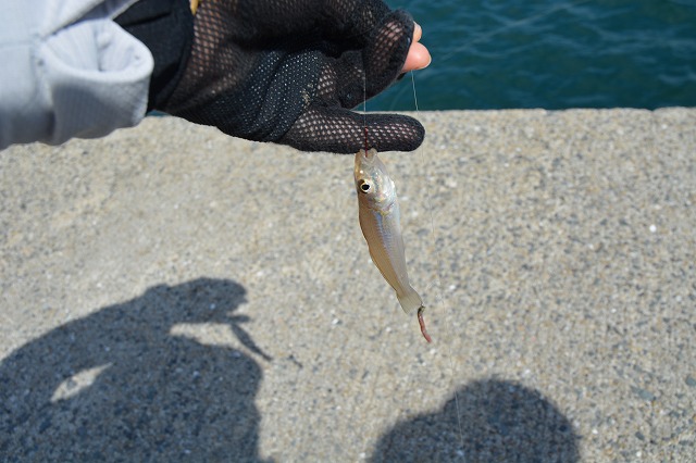 showPhoto (640×426)