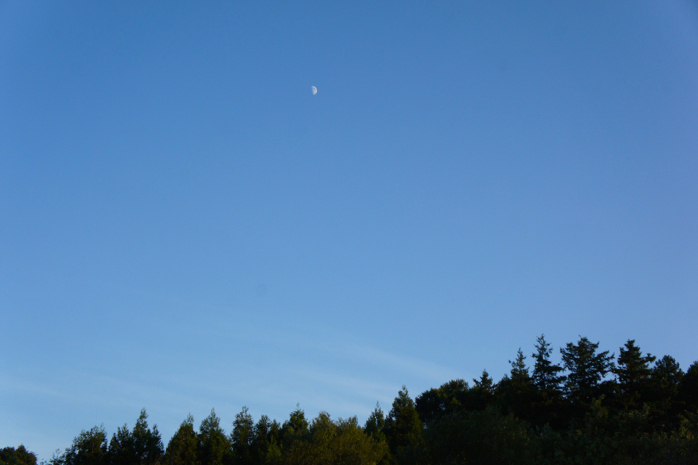 DSC05271.jpg