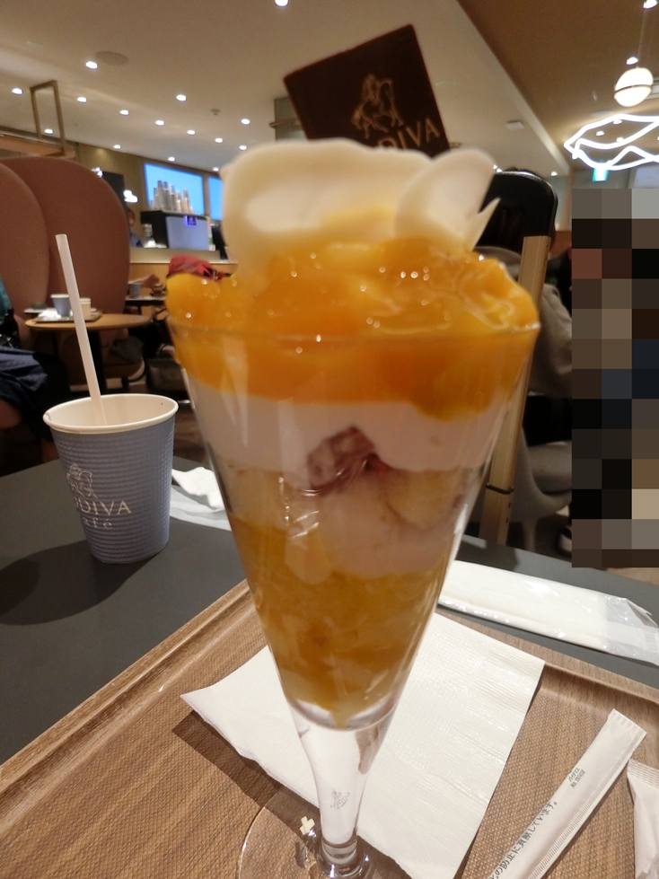 ＧＯＤＩＶＡ　ｃａｆｅ　マンゴーとカカオフルーツのパフェ.JPG