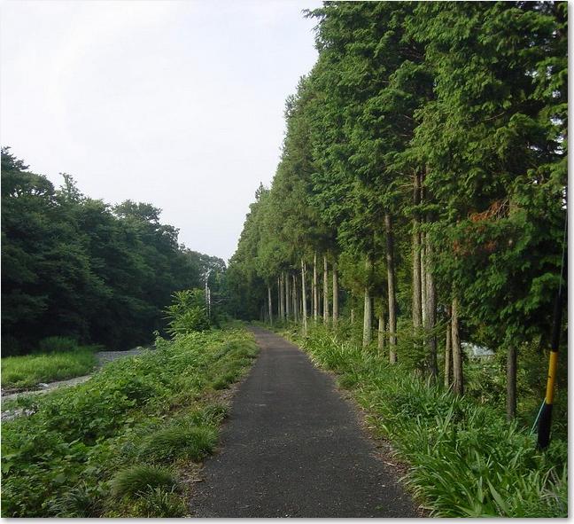 75その堤防を・・・