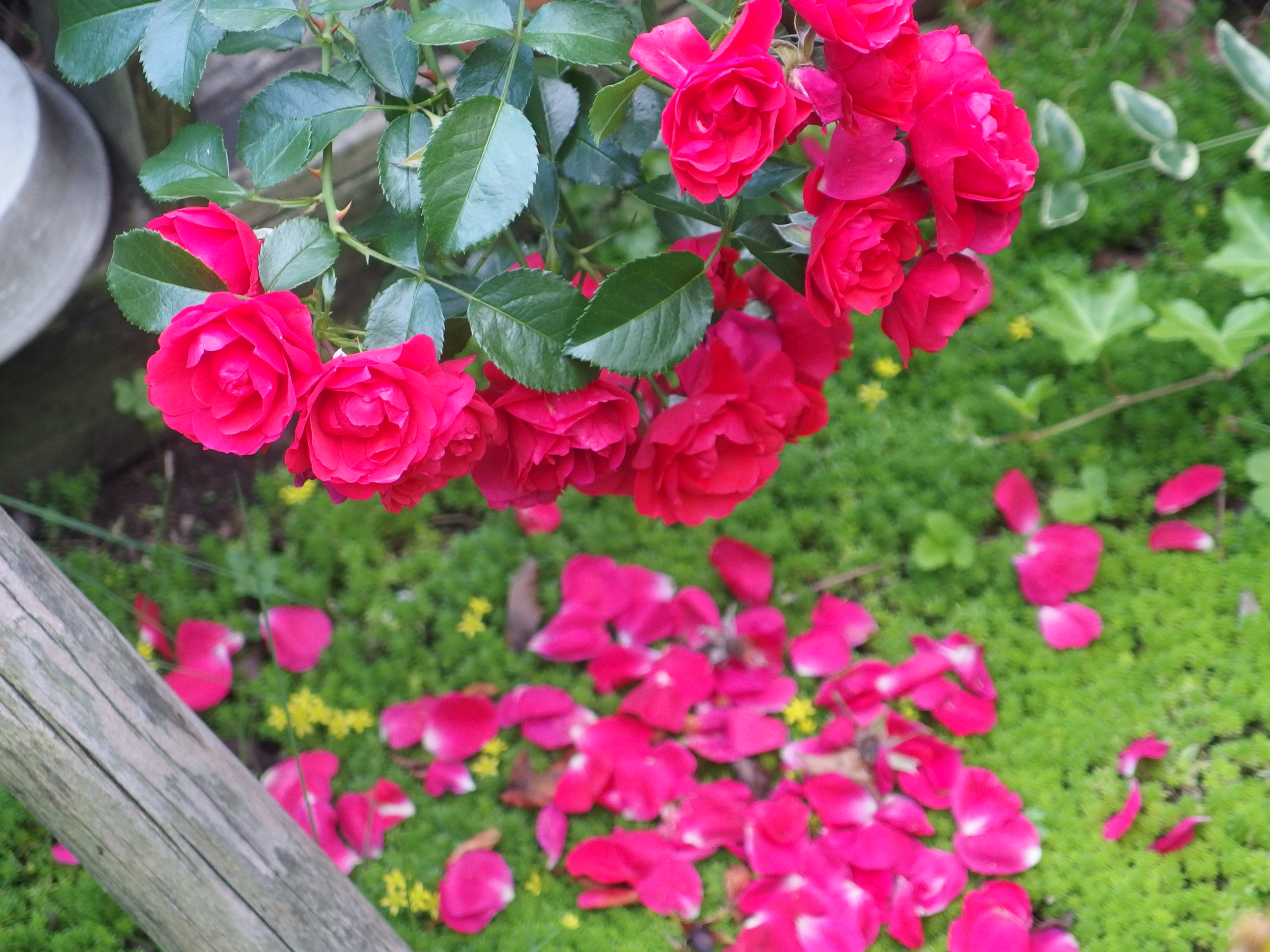 2015-06-24 17.07.39.jpg