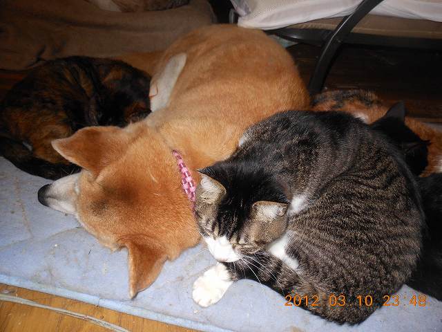 DSCN3141.JPG