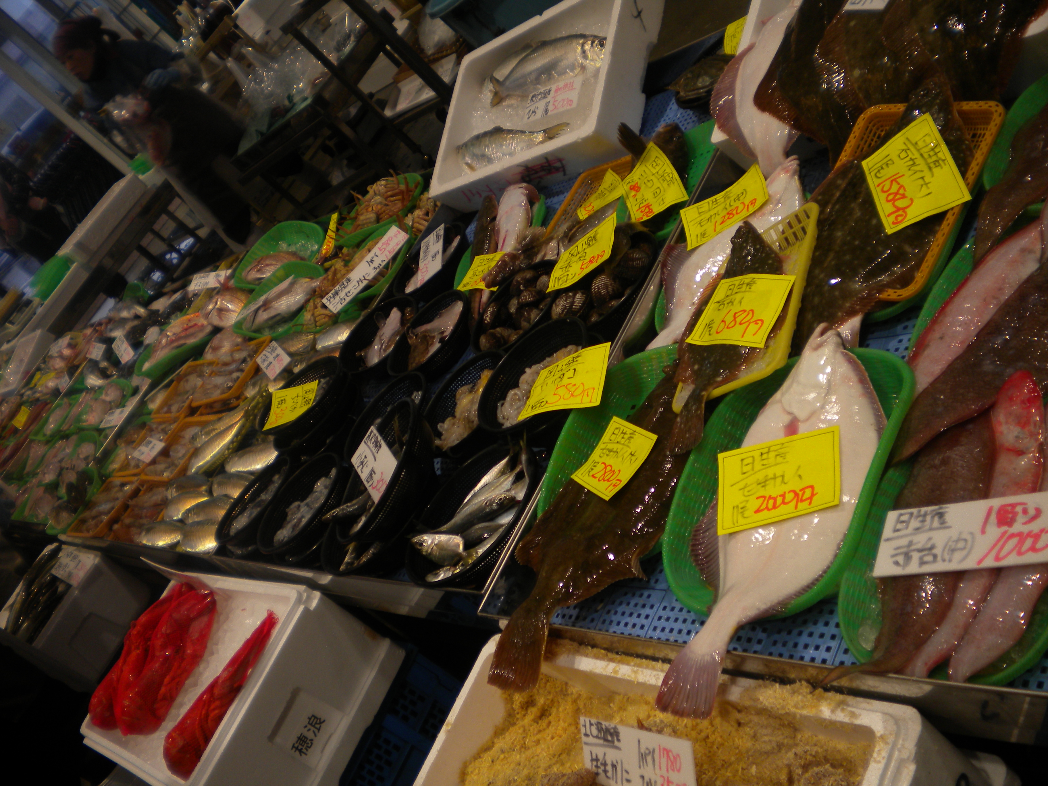 DSCN3059.JPG