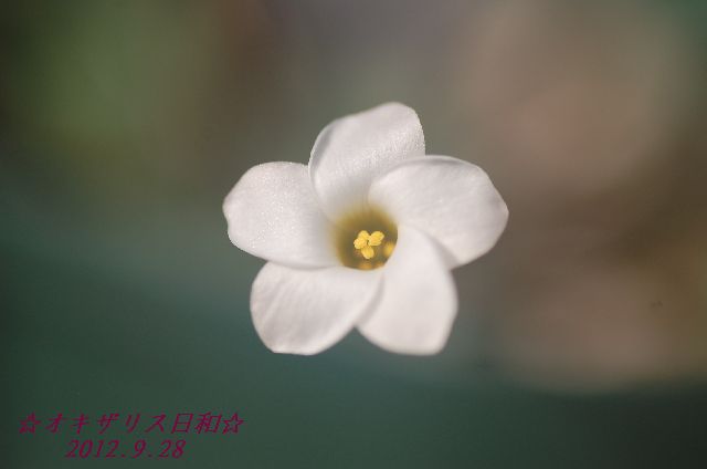 DSC_3291.JPG