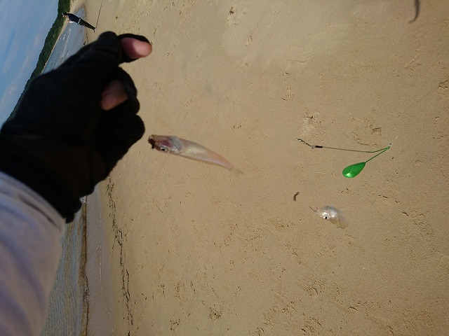 showPhoto (640×480)