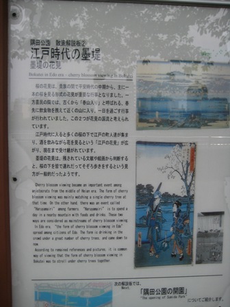 皐月め組総見の日 202.JPG