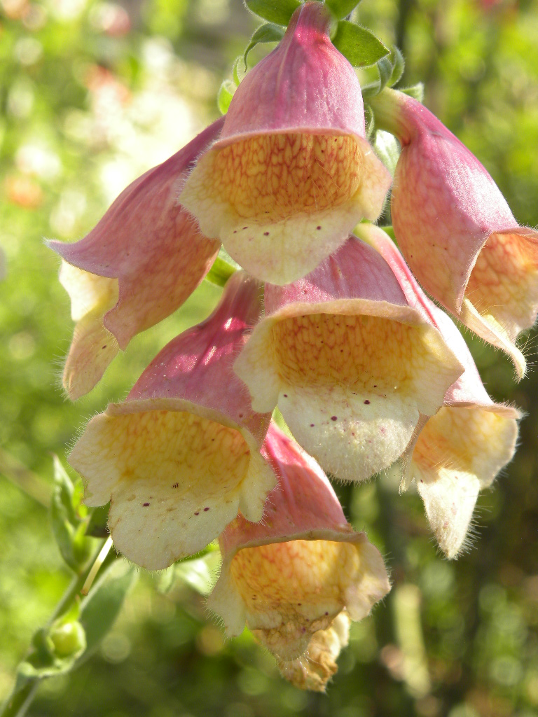 DSCN9131.JPG