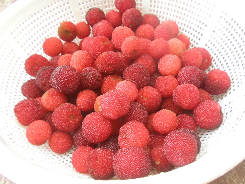 P7051405.JPG