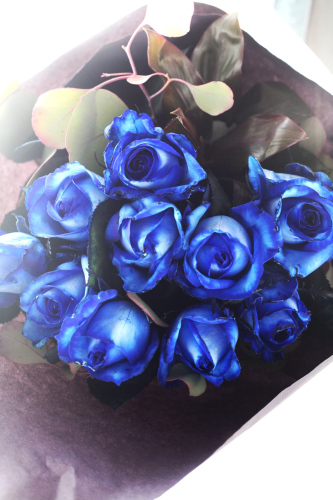 blue-violet5500-30.jpg