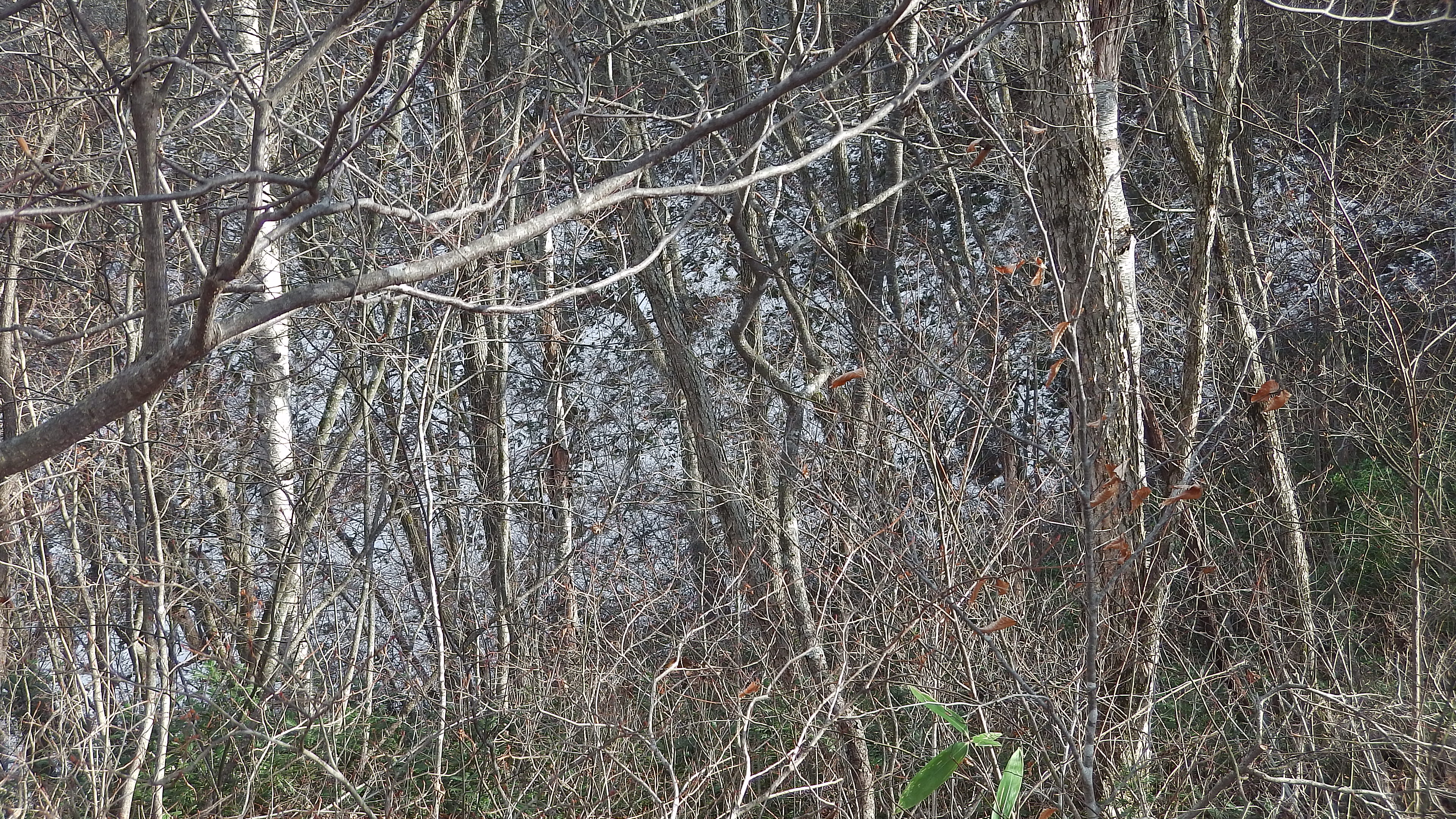 IMGA0652.JPG
