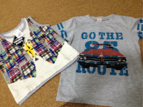 C:\fakepath\IMG_1531[1]