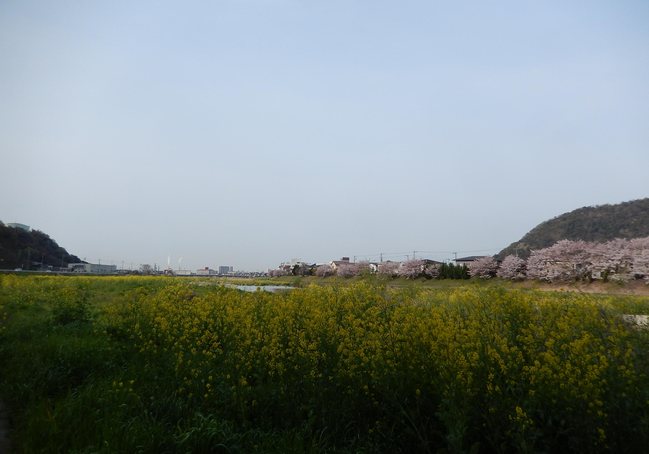 140413-1-5.jpg