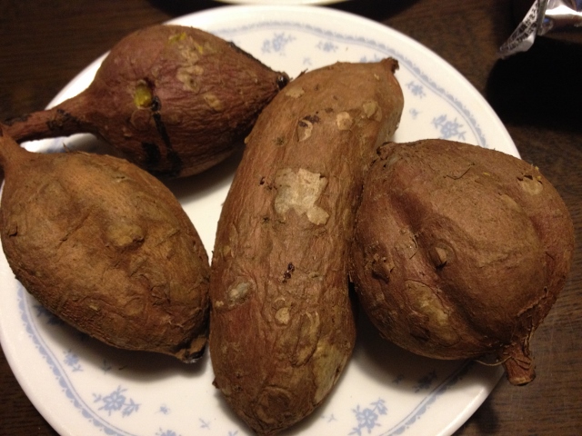 IMG_3735 (640x480).jpg