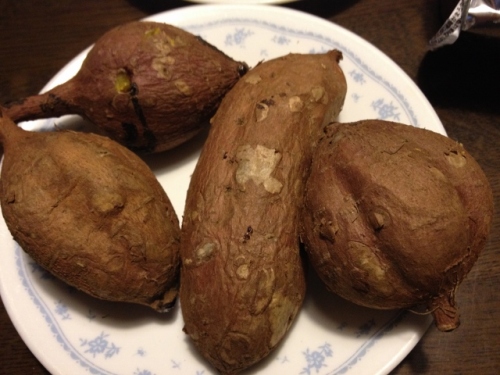 IMG_3735 (640x480).jpg