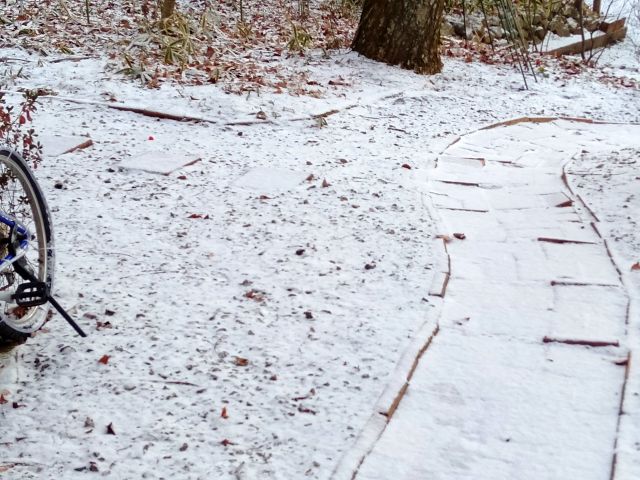 241215garden.jpg