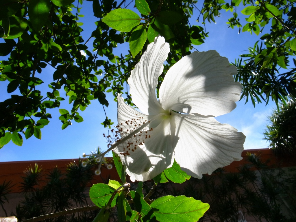 R0053917 (1024x768).jpg