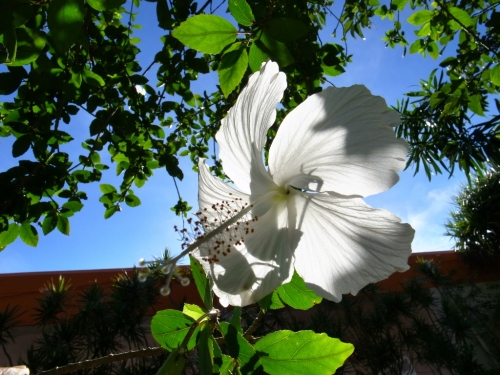 R0053917 (1024x768).jpg