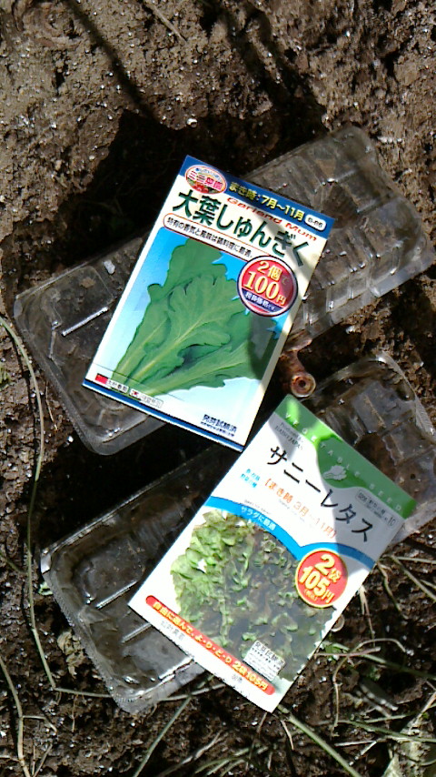 NEC_0300.JPG
