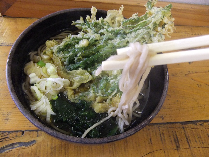 越後そば南流山店のかけそば＋春菊天２20120828.JPG