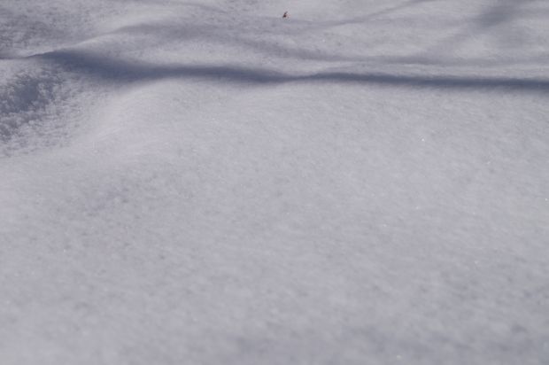 _DSC2301.JPG