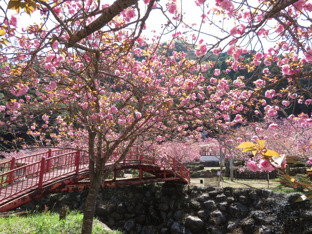 一心寺 (27).jpg