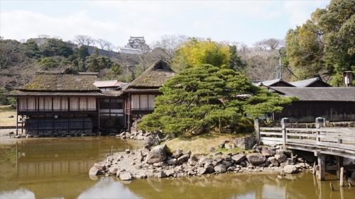 20160324 09441101.JPG