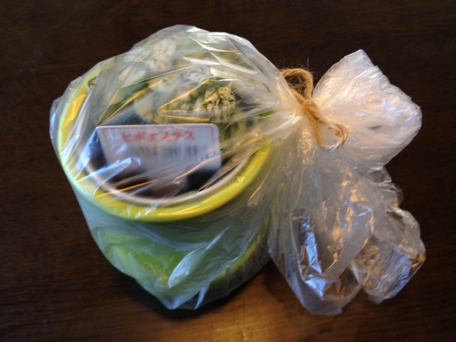 IMG_2510 (640x480).jpg