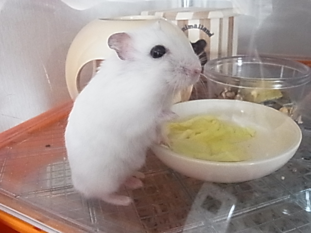 2014_06300046.JPG