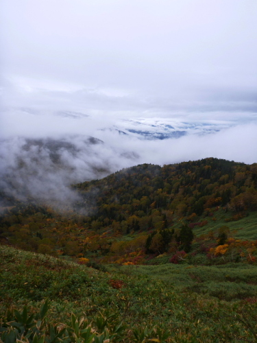 尾瀬満喫ツアー（健脚）201310076 - コピー.jpg