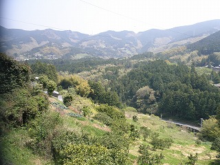P4180809.jpg