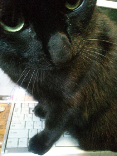 KIMG0469.JPG　ライカ♪ですが、何か？