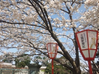 2015年4月　兼六園から金沢城址へ