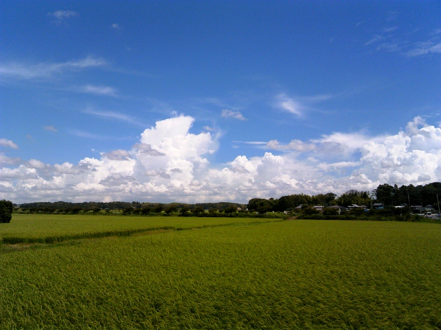 2012-08-15夏空 (640x480).jpg