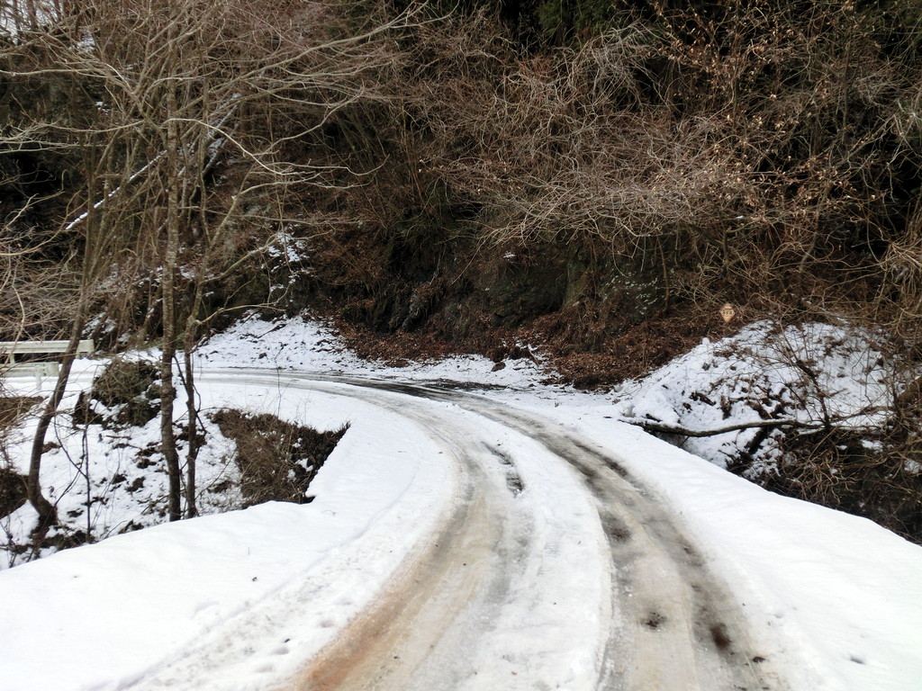 20130211-12.jpg