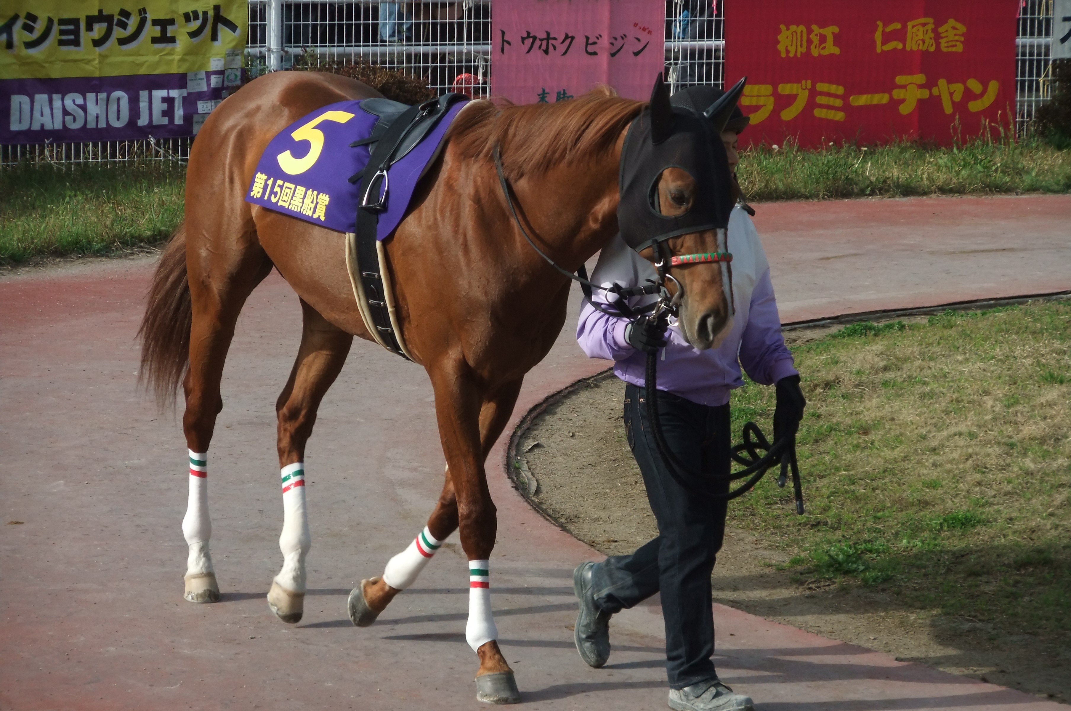 サマーウインド８歳