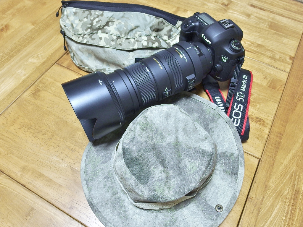 IMGP1062 (1024x768).jpg