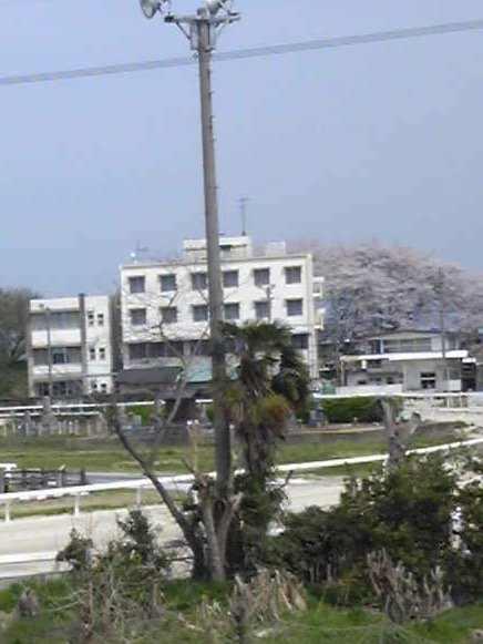 ハロン棒ａ.jpg