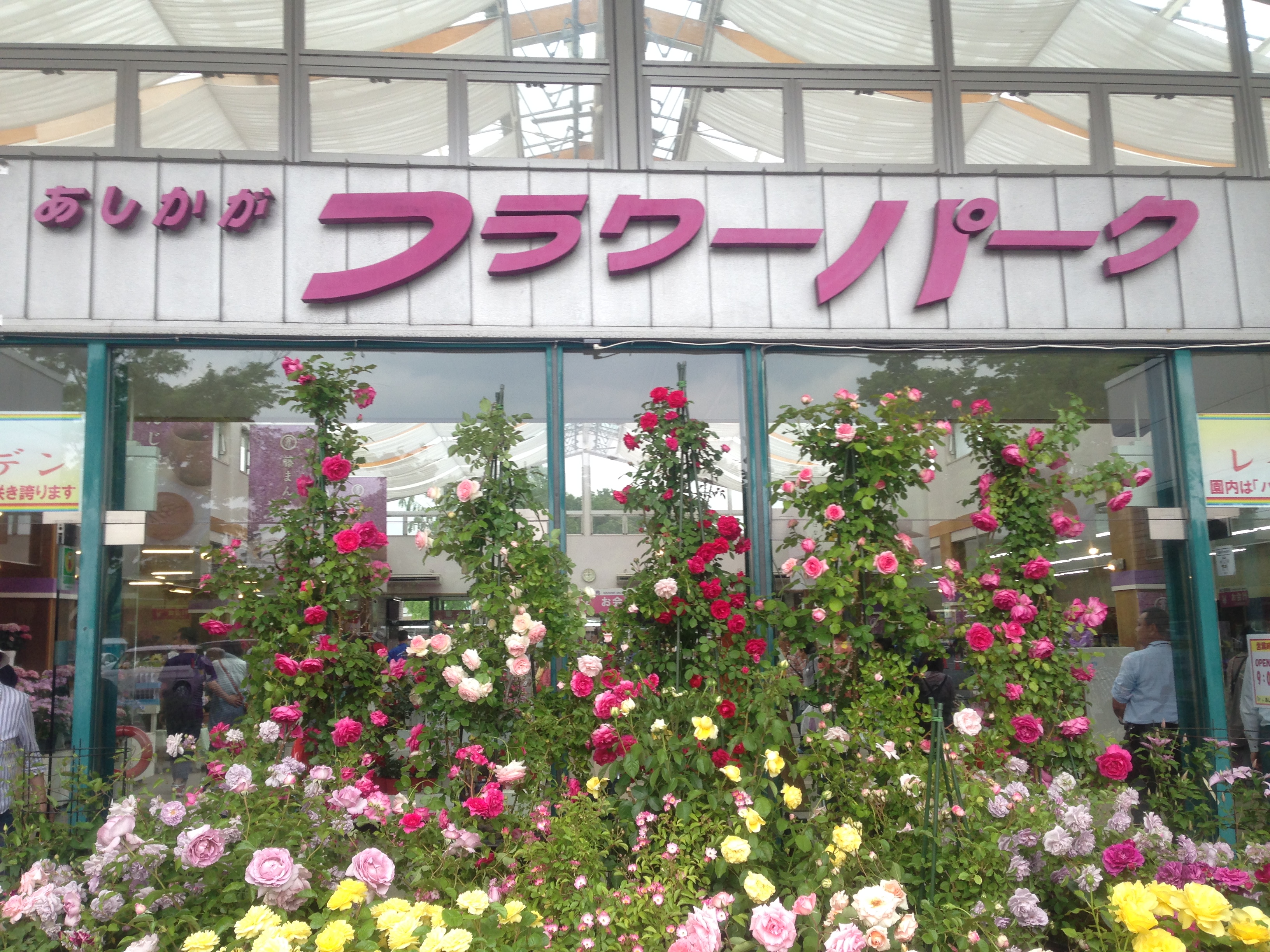 201505251751_2663_iphone.jpg