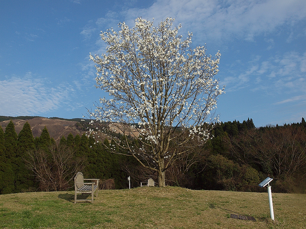P4050920.JPG