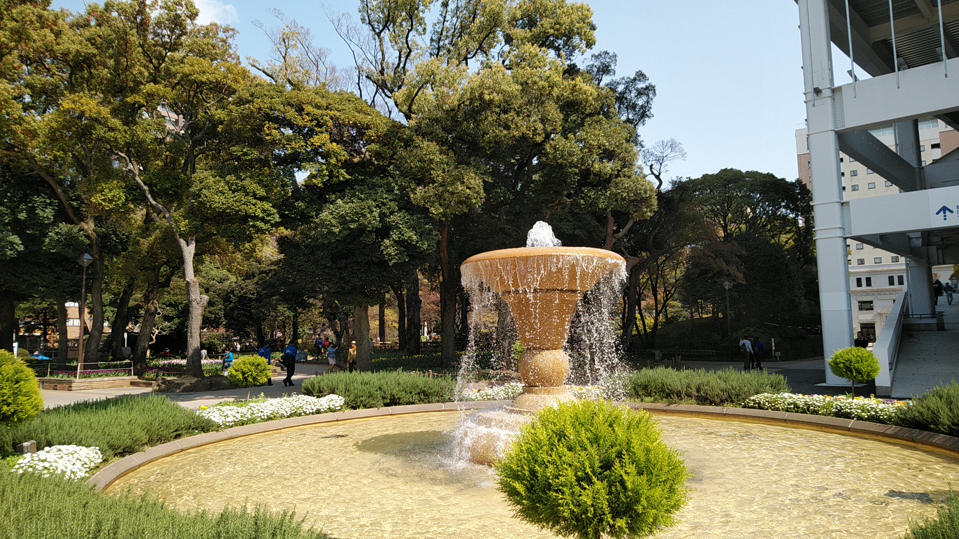 20190327  DSC_0001.jpg.jpg